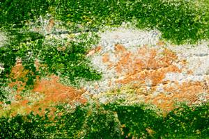 green and orange thermophilic bacterial mats in hotspring runoff