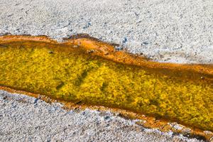 yellow, orange, and brown bacterial mats in hot spring runoff